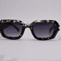 Black Cheetah