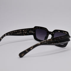 Black Cheetah